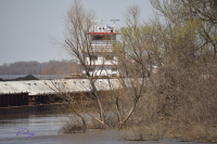 Can\'t Hide On The River