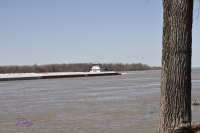 Coming Round The Bend