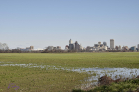 Memphis From The Other Side