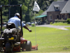 Cutting Greens