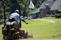 Cutting Greens