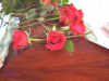 Roses For The Morning