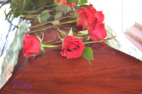 Roses For The Morning