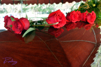 Roses For The Morning