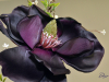 flower_purple_11