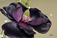 flower_purple_11