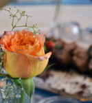 Roses and Brownies