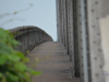 Bridge Walk 2