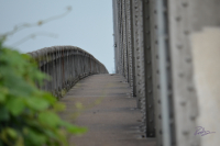 Bridge Walk 2