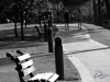 The Walk
