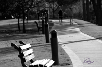 The Walk