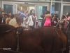 Crutcher Jeffery Wedding 2024