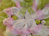 _dsc3683reefsbyrenee_006